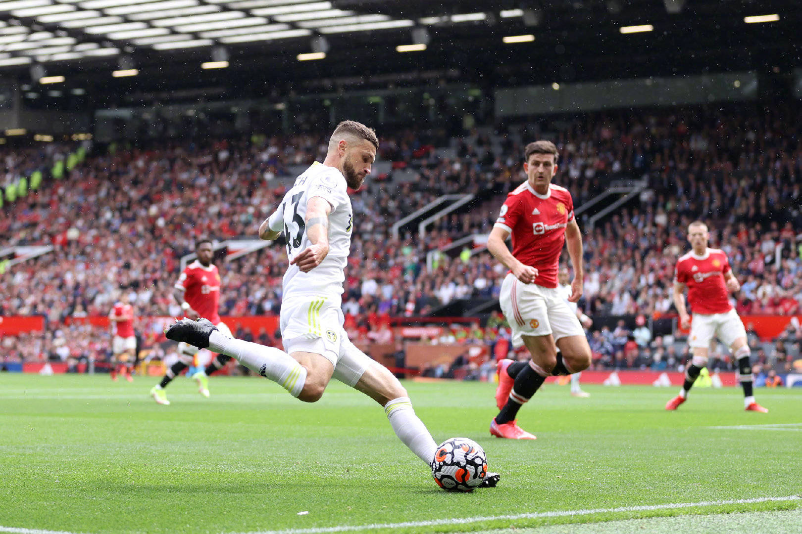 但在锦标赛 但在锦标赛